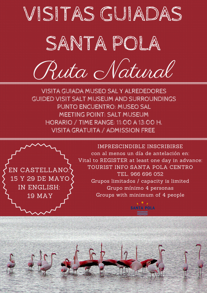 Visitas_mayo_santapola_2016