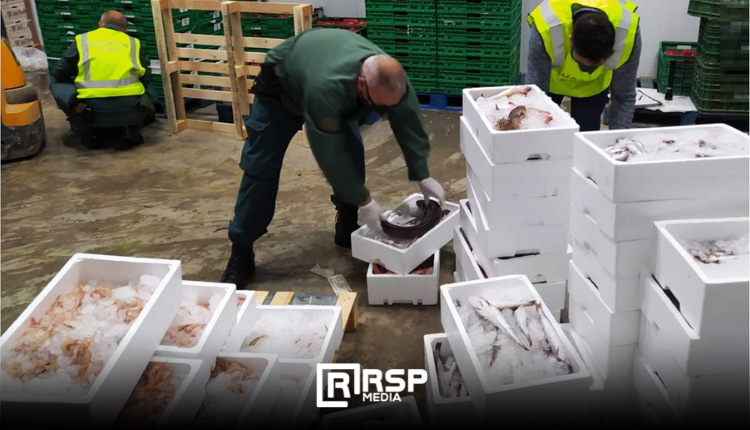 FOTO NOTICIA - PESCADO INCAUTADO