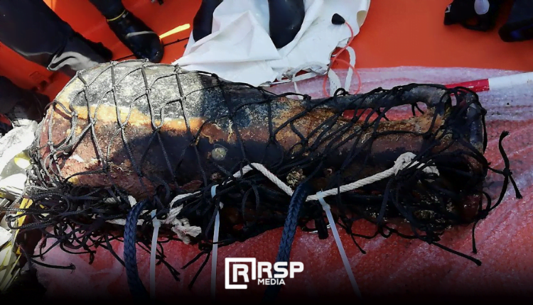 FOTO NOTICIA - ANFORA ROMANA