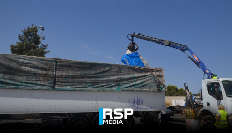 FOTO NOTICIA - ECOPARQUE COLCHONES