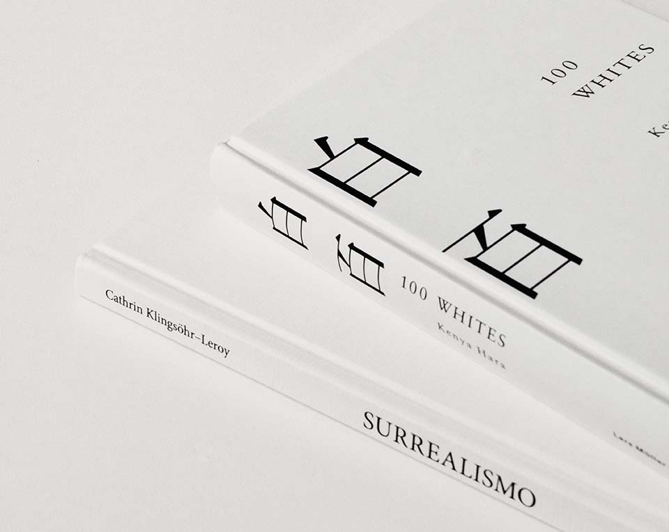 jocelyn-morales-OqLlTVZnS5I-unsplash