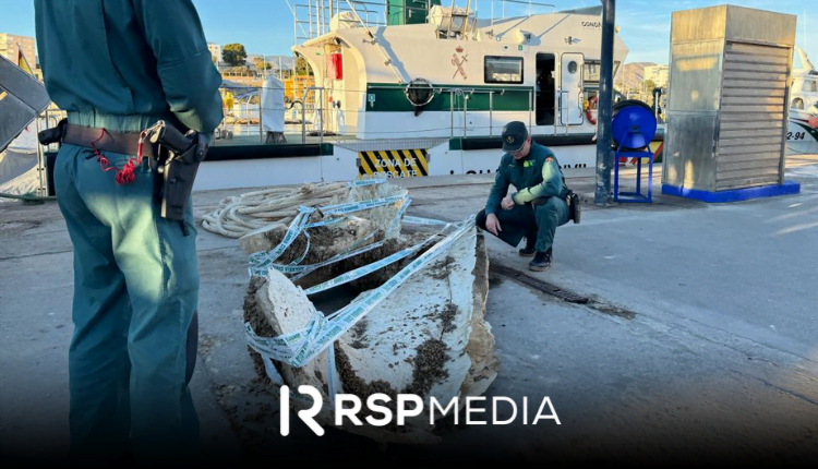 FOTO NOTICIA - mandibula ballena