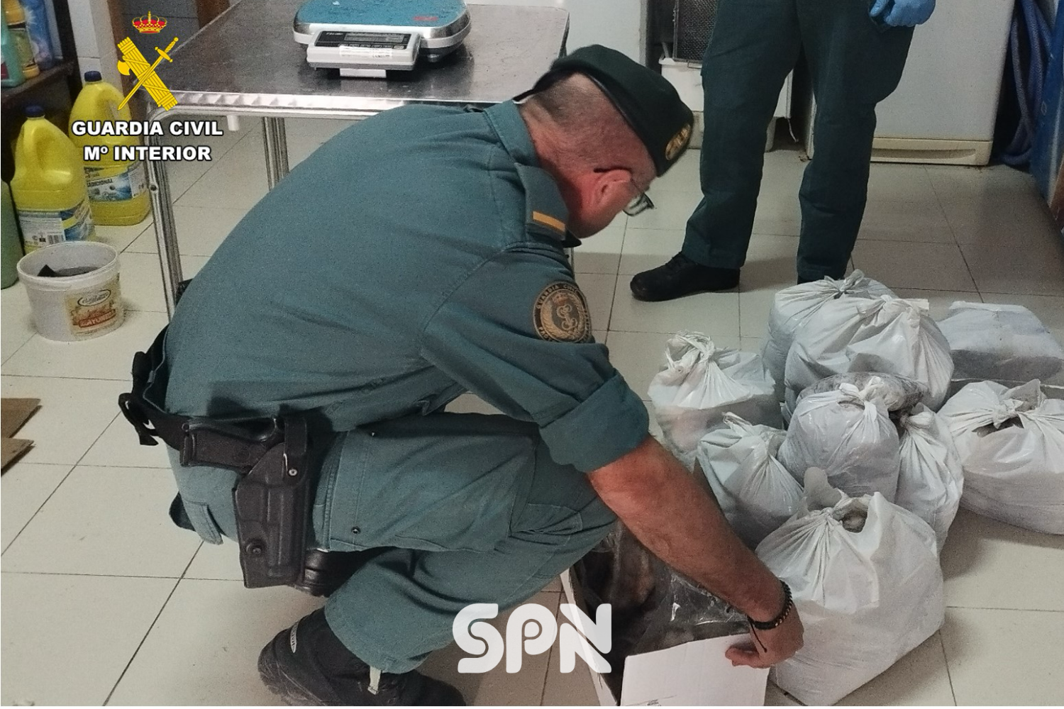 SPN - INCAUTACIÓN PESCADO